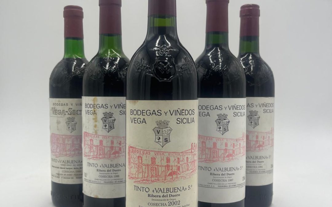 Bodega Qubel: Discover the exquisite wines of Spain