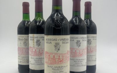 Bodega Qubel: Descubrir los exquisitos vinos de España